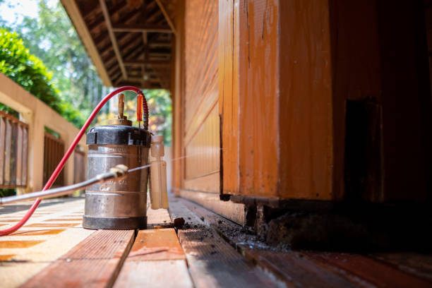 Best Affordable Pest Control Services  in Andrews, NC